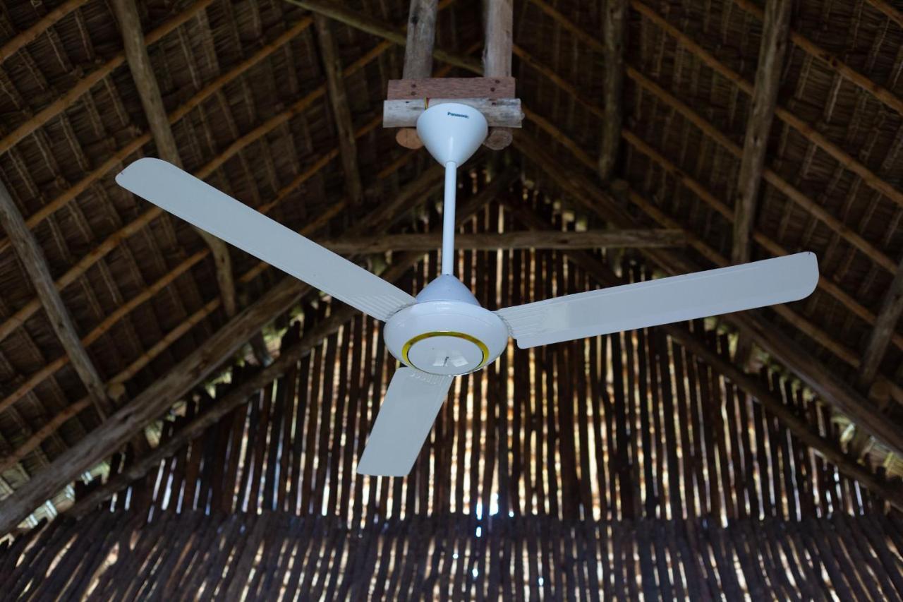 Afriican Village Zanzibar Michamvi 外观 照片
