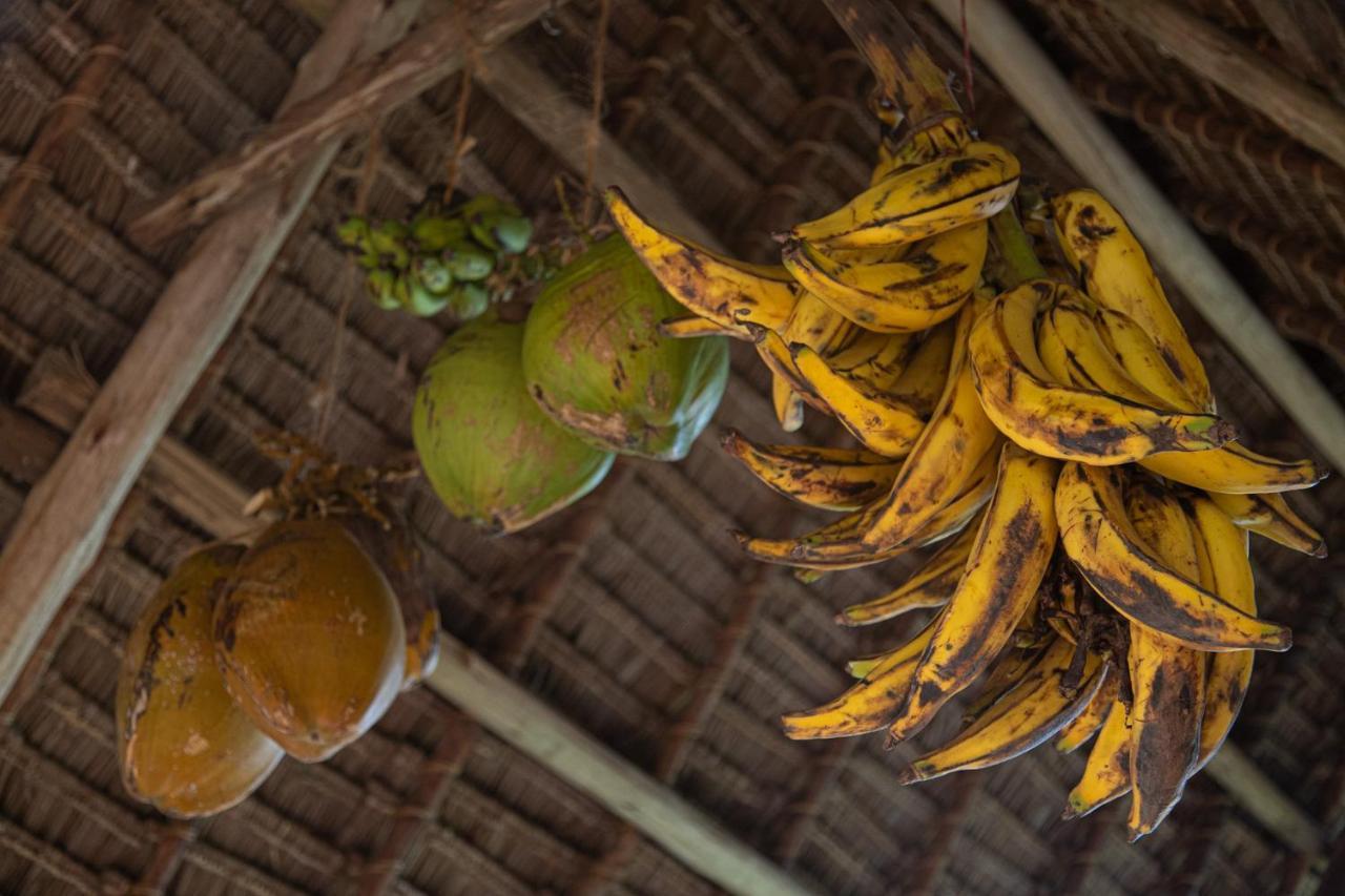 Afriican Village Zanzibar Michamvi 外观 照片