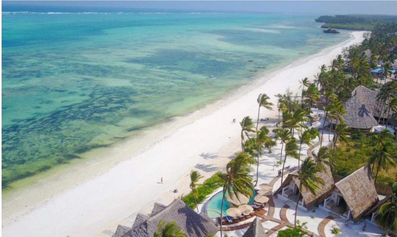 Afriican Village Zanzibar Michamvi 外观 照片