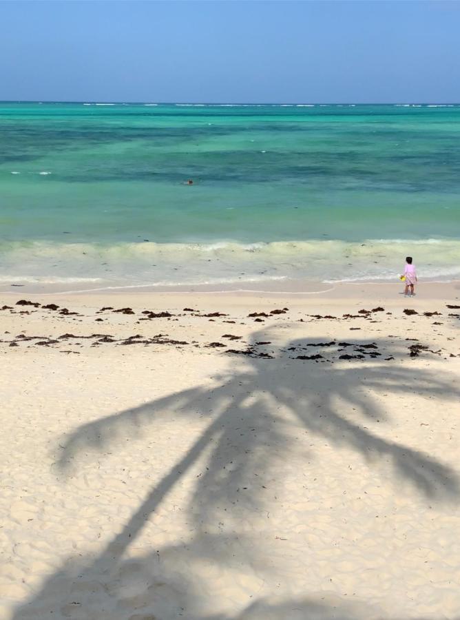 Afriican Village Zanzibar Michamvi 外观 照片