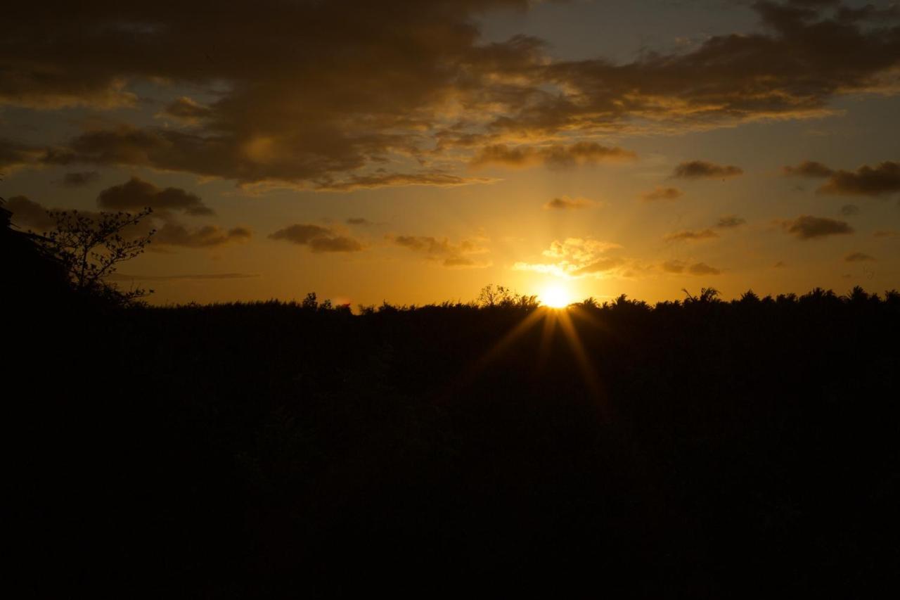Afriican Village Zanzibar Michamvi 外观 照片