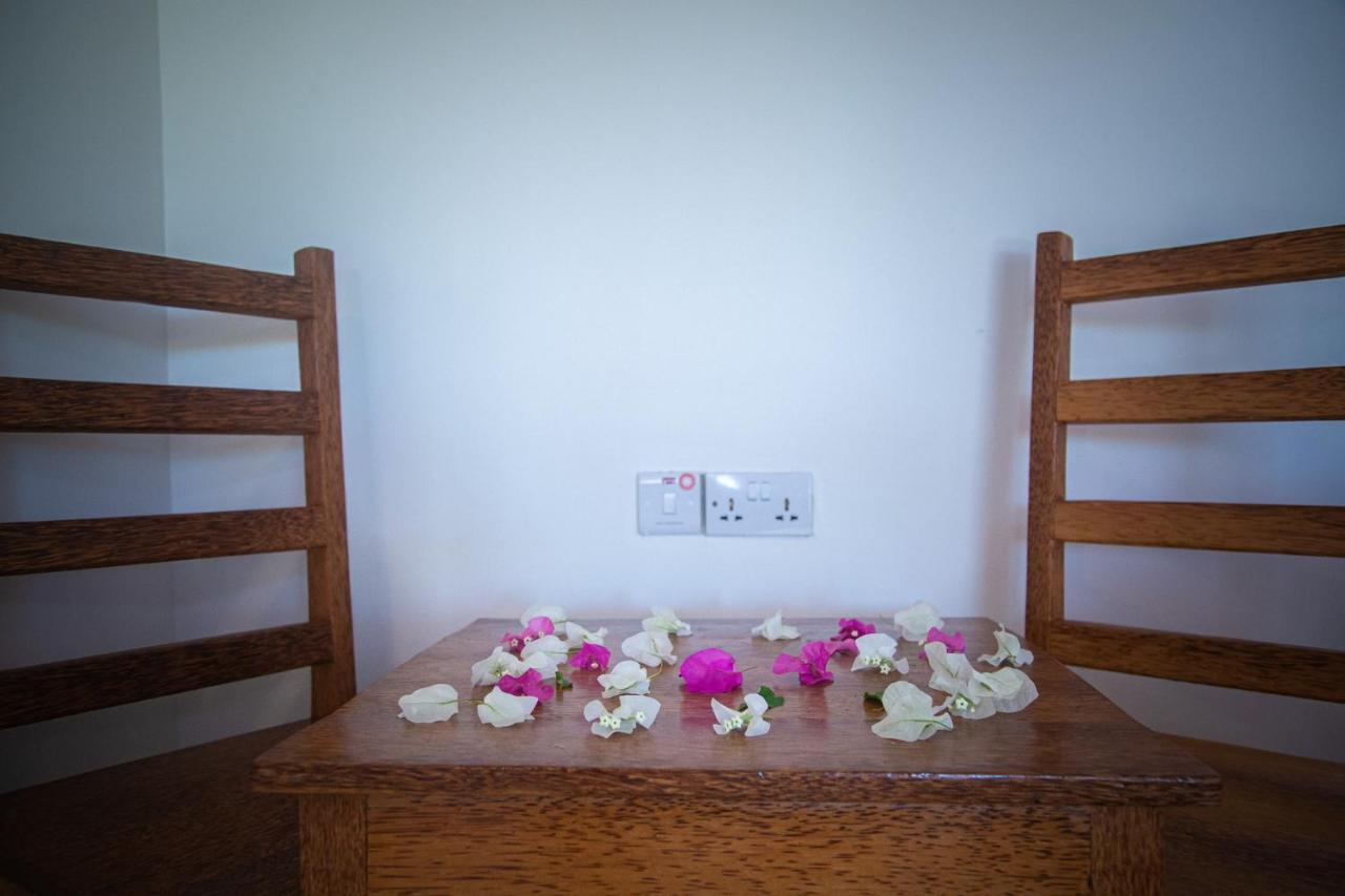 Afriican Village Zanzibar Michamvi 外观 照片