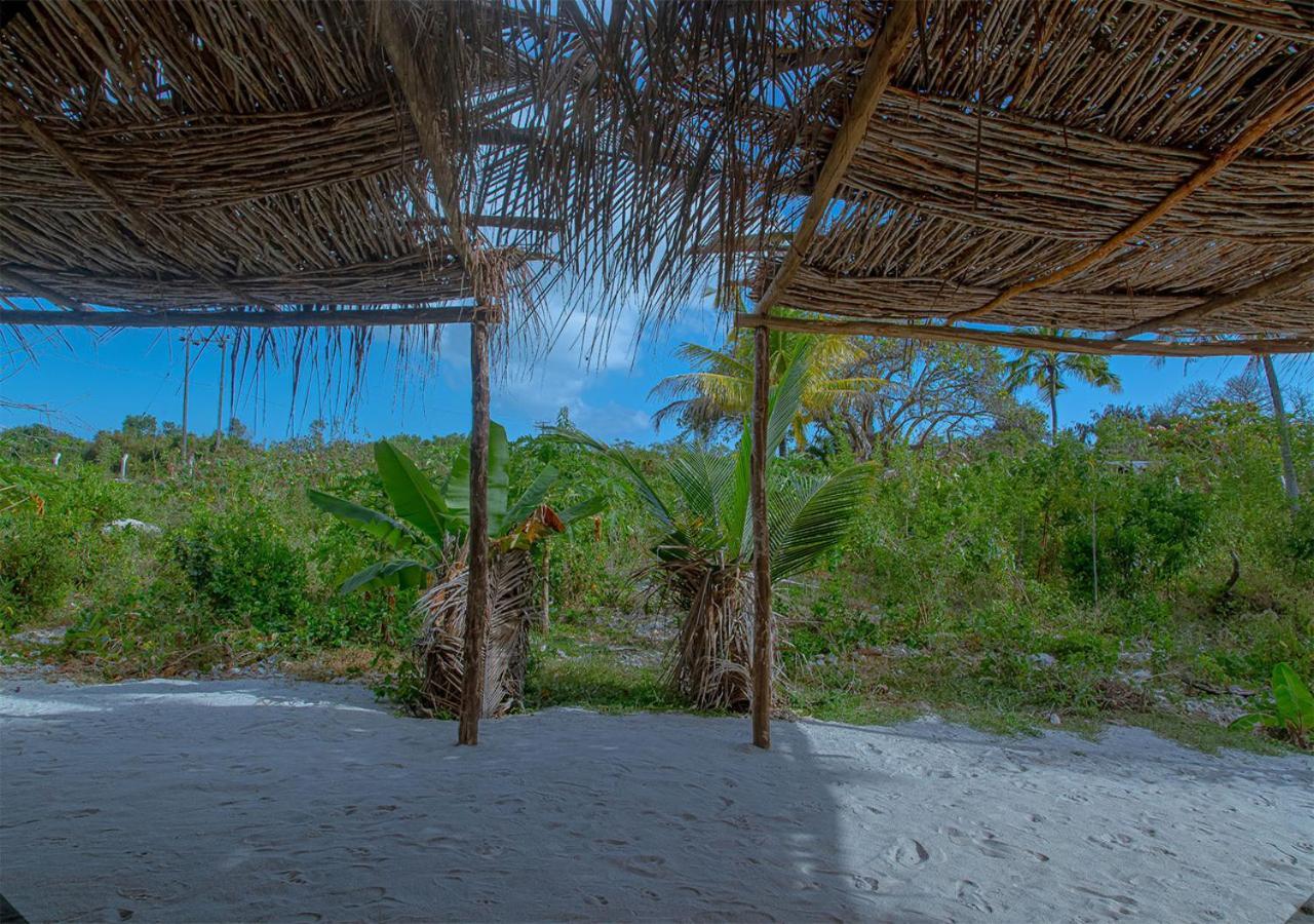 Afriican Village Zanzibar Michamvi 外观 照片