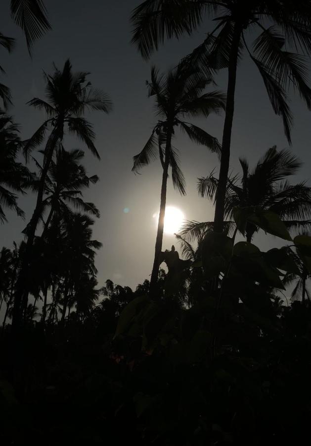 Afriican Village Zanzibar Michamvi 外观 照片