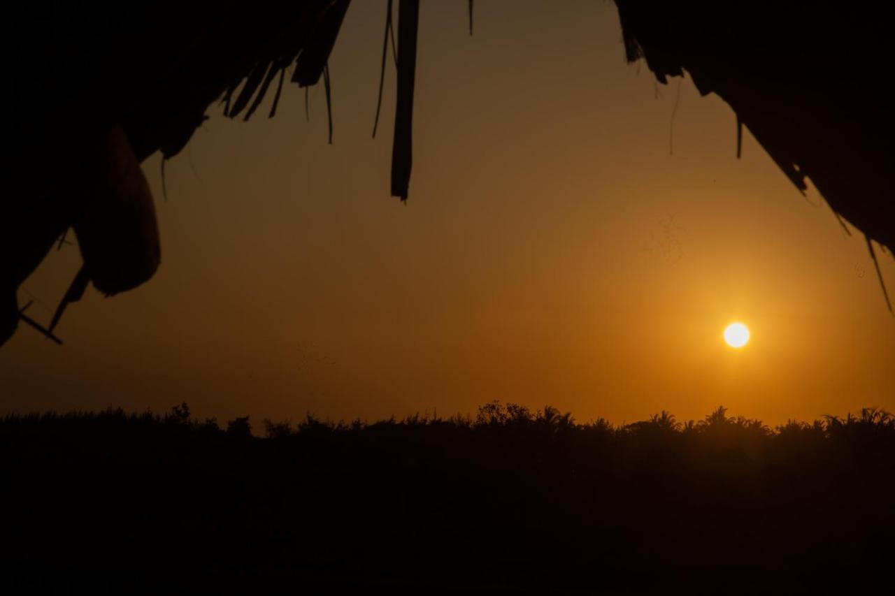 Afriican Village Zanzibar Michamvi 外观 照片