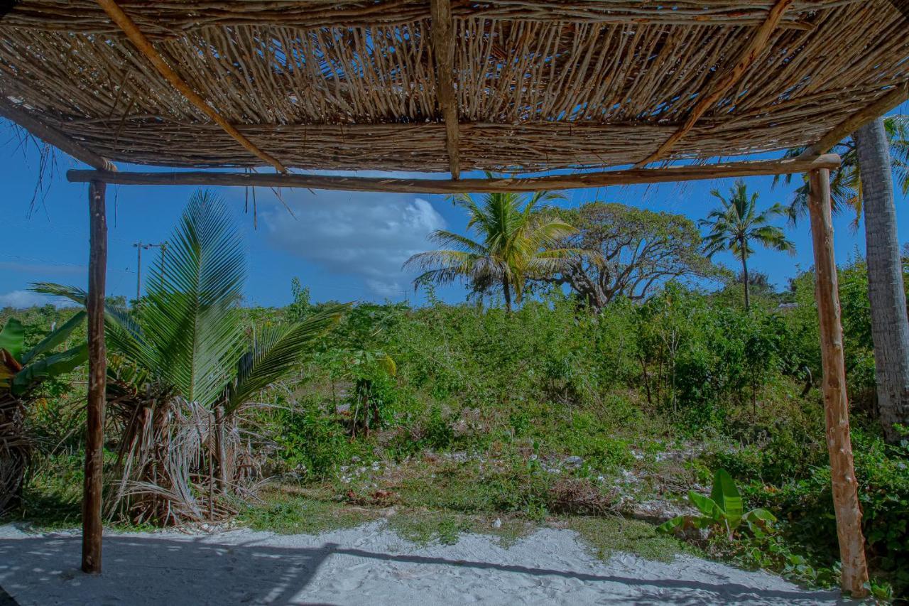 Afriican Village Zanzibar Michamvi 外观 照片